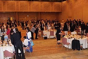 IMG_8932.jpg